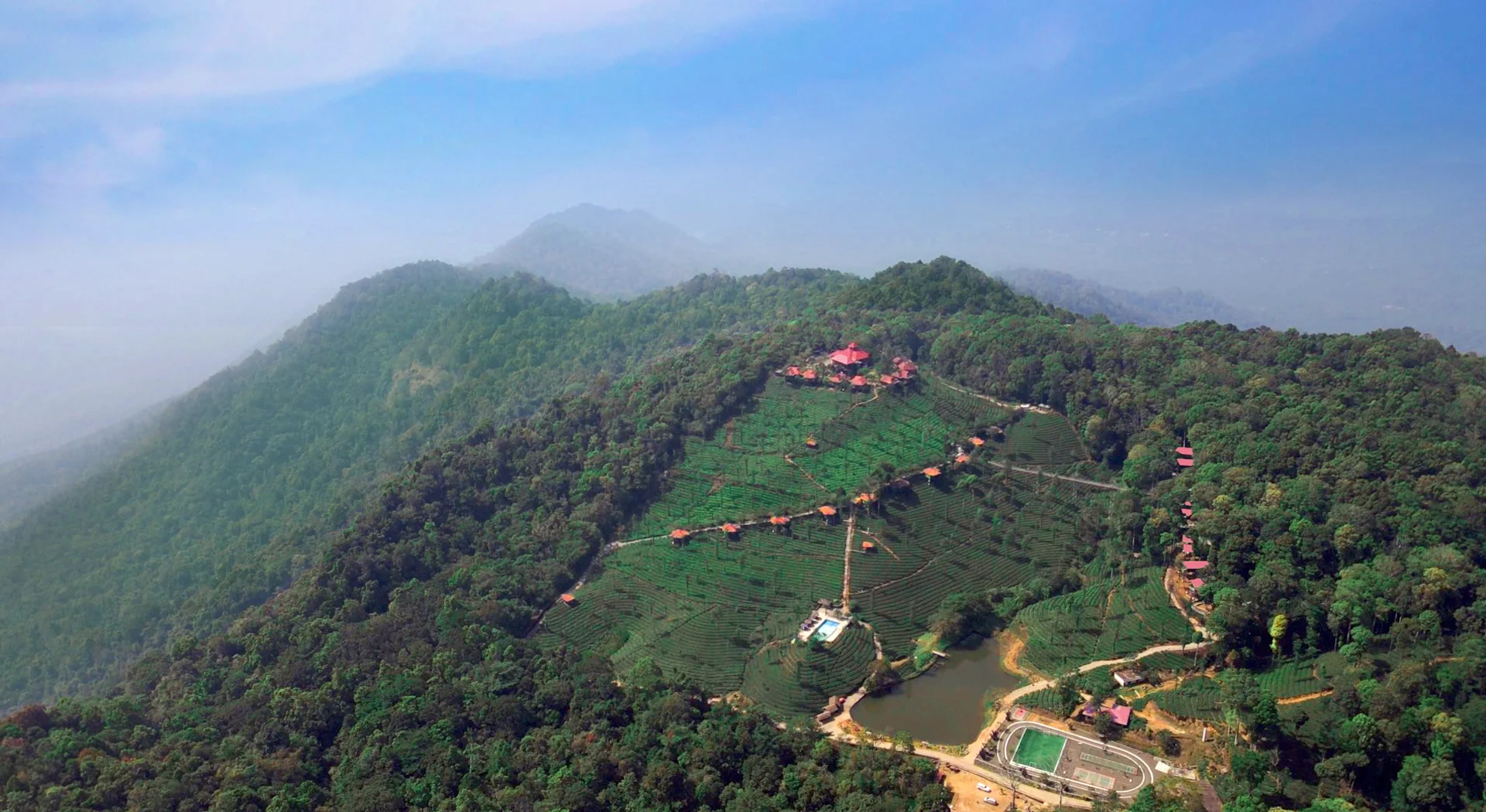 Wild Planet Resort surrounded by nature