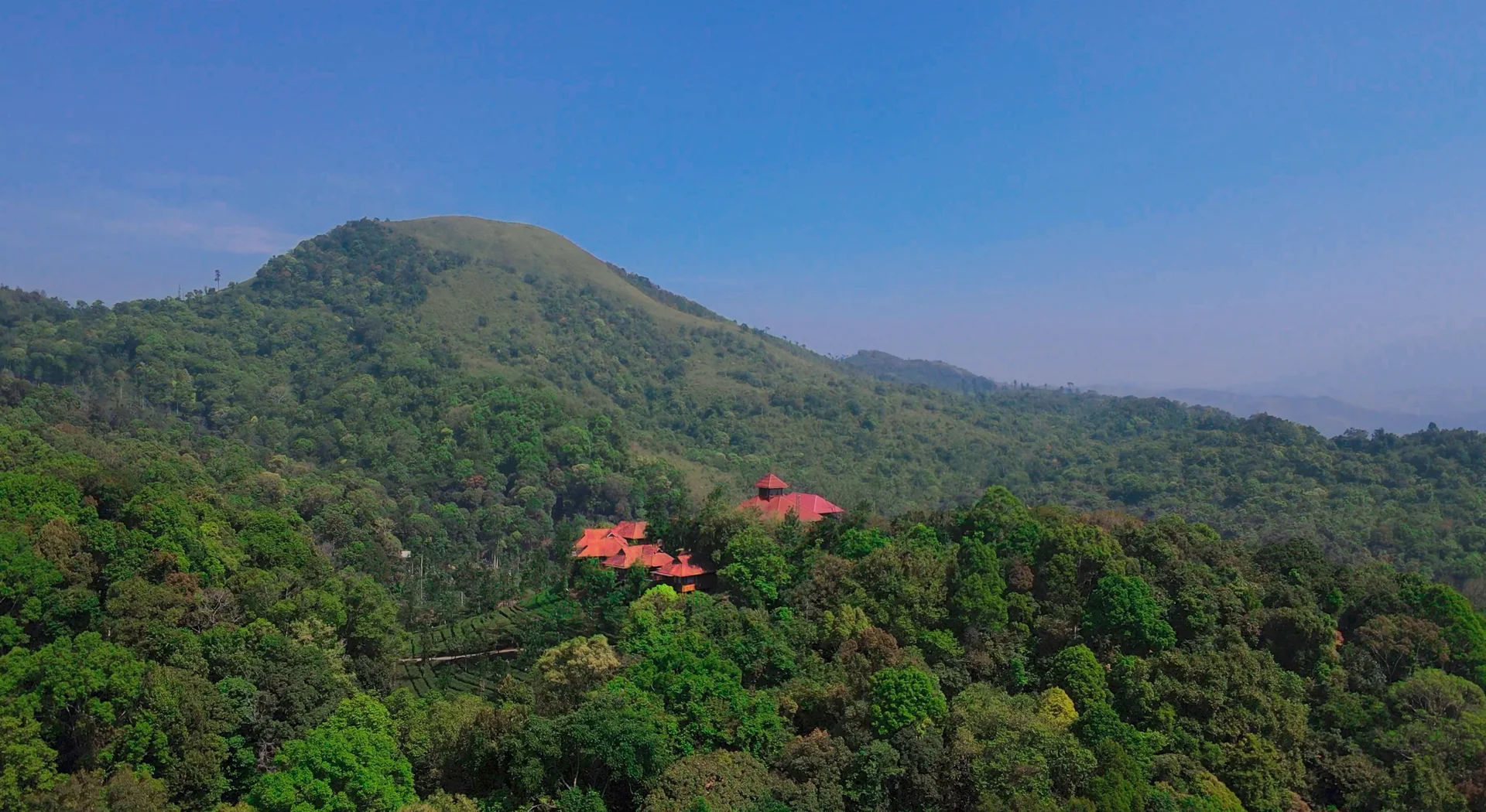 Nature escape at Wild Planet Nilgiris resort