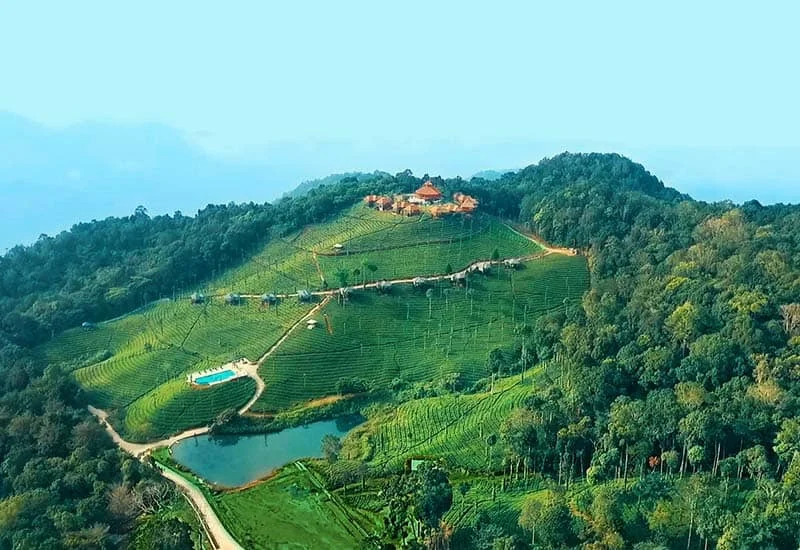 Wild Planet Nilgiris – Luxury Jungle Resort Where the Wild Still Breathes