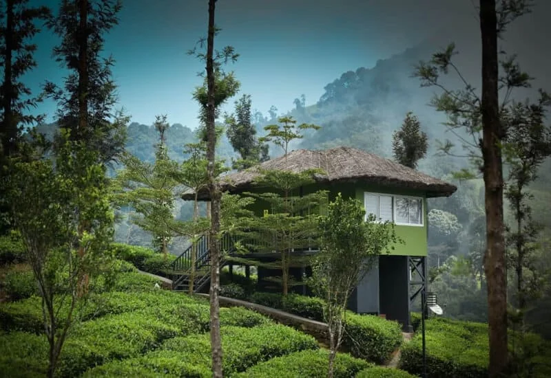 Pure Air. Conscious Luxury.