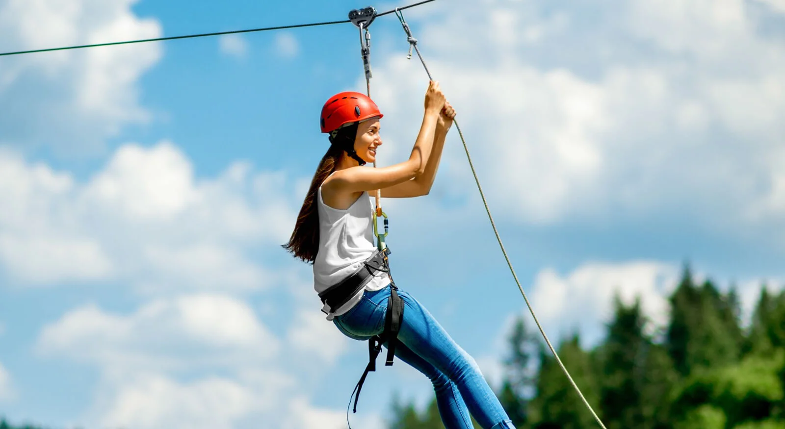 Zip Line – Soar Above the Wilderness