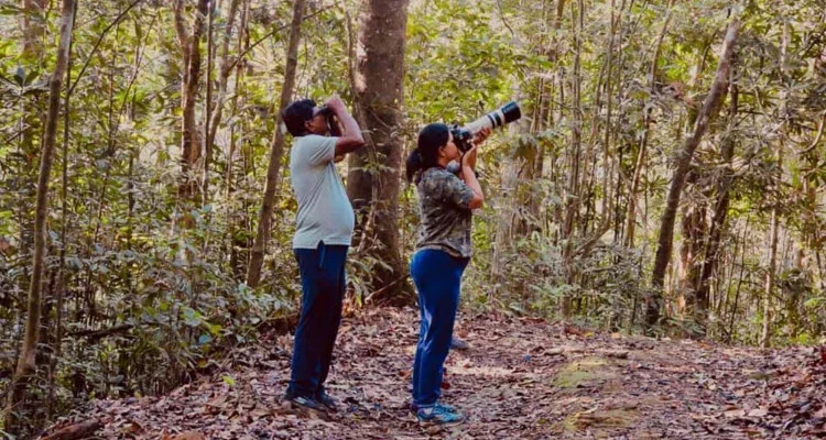 Bird Watching – A Symphony of the Wild