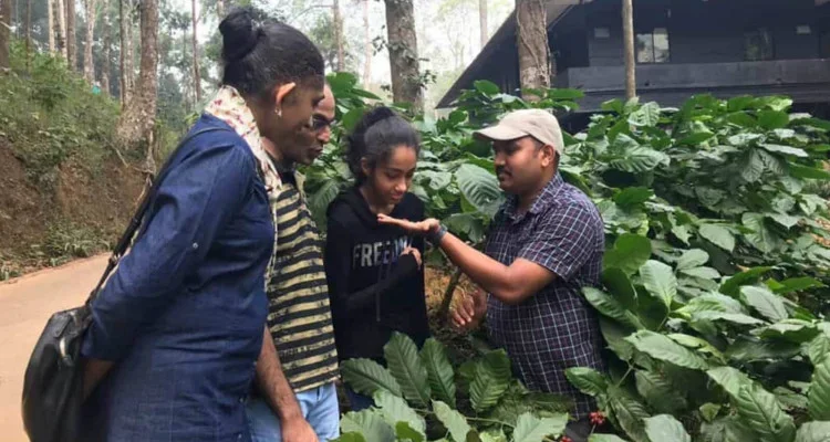 Plantation Walk – Roots of the Land