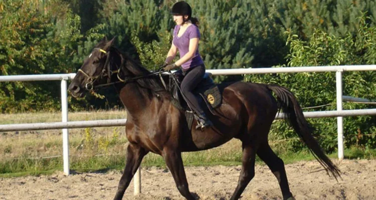 Horse Riding – Grace in Motion