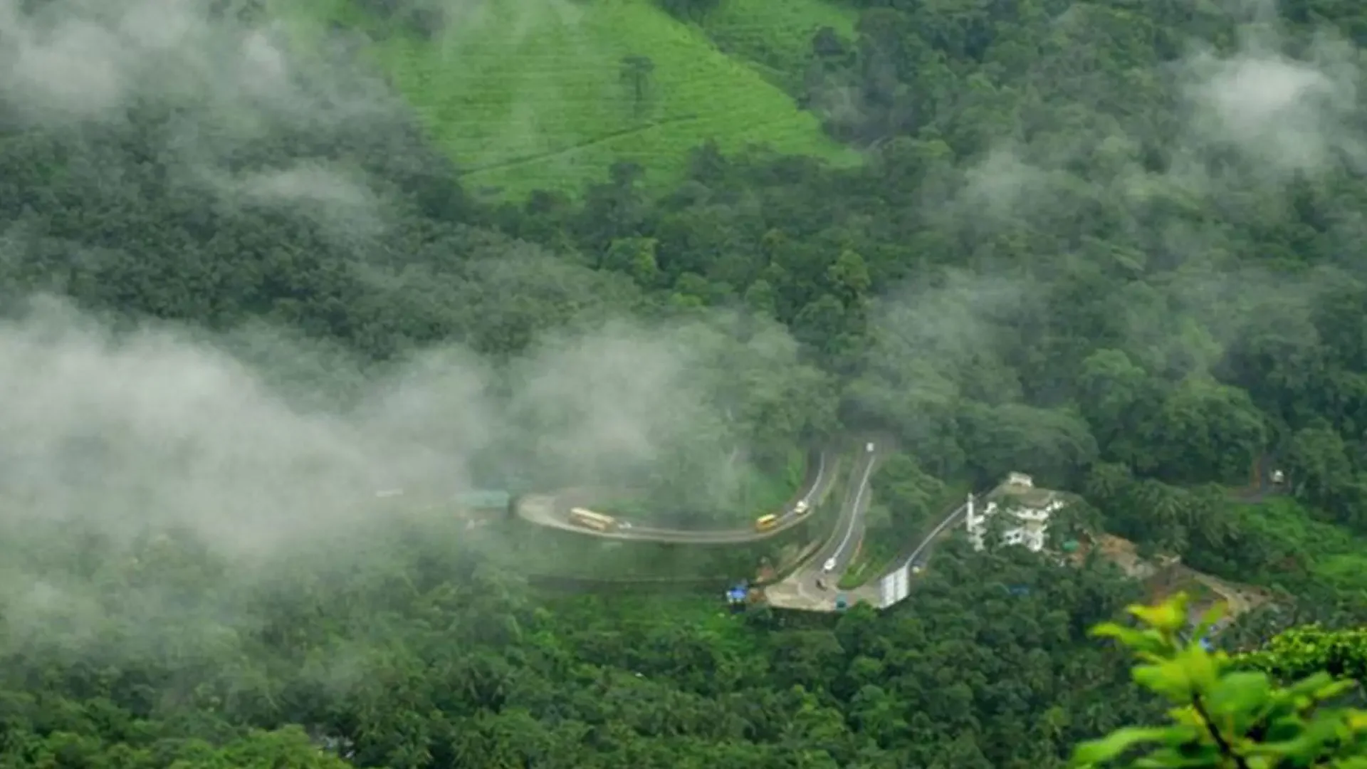 Wayanad – The Green Paradise