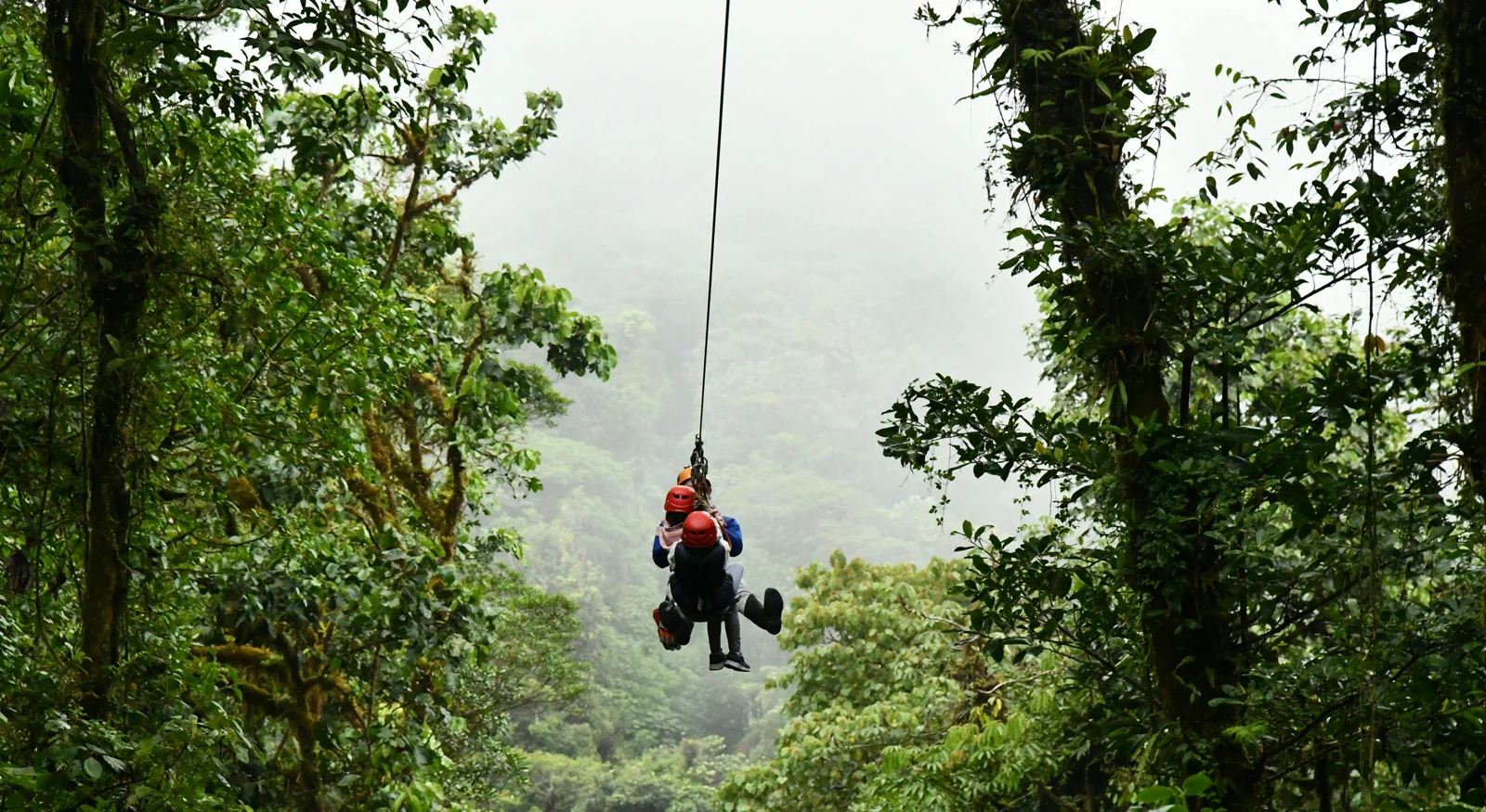 Zip Line – Soar Above the Wilderness