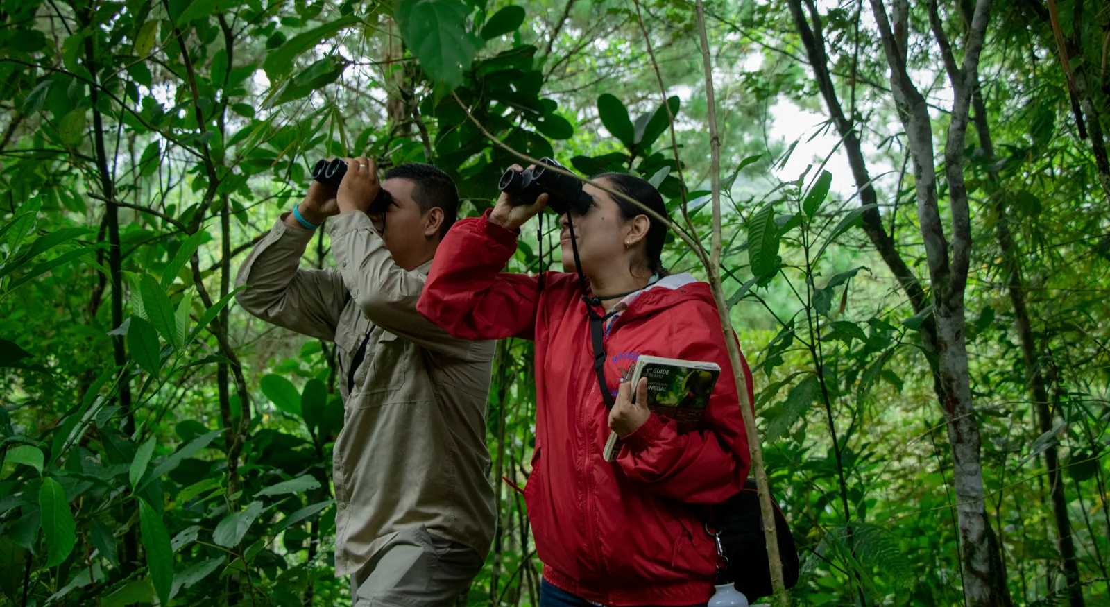 Bird Watching – A Symphony of the Wild