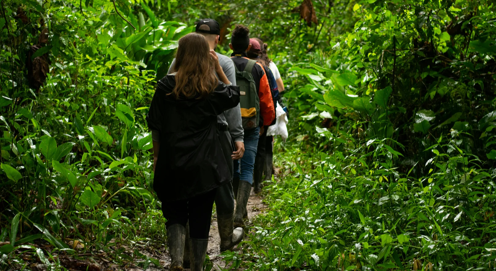 Rainforest Walk – Into Nature’s Living Classroom
