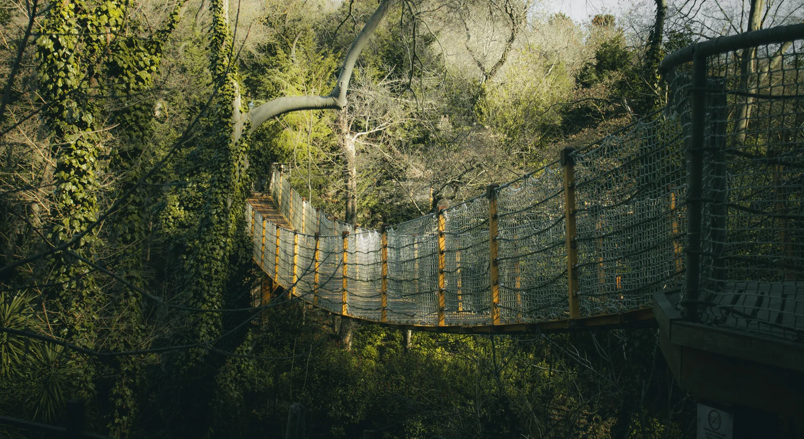 Sky Walk – Floating Bridge