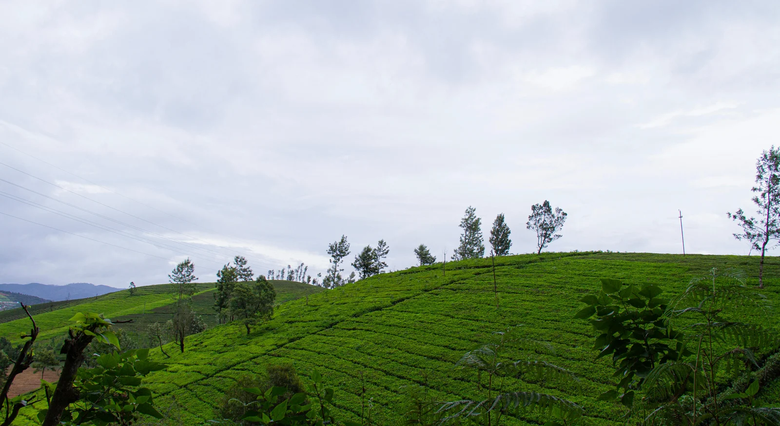 Ooty – The Queen of Hill Stations