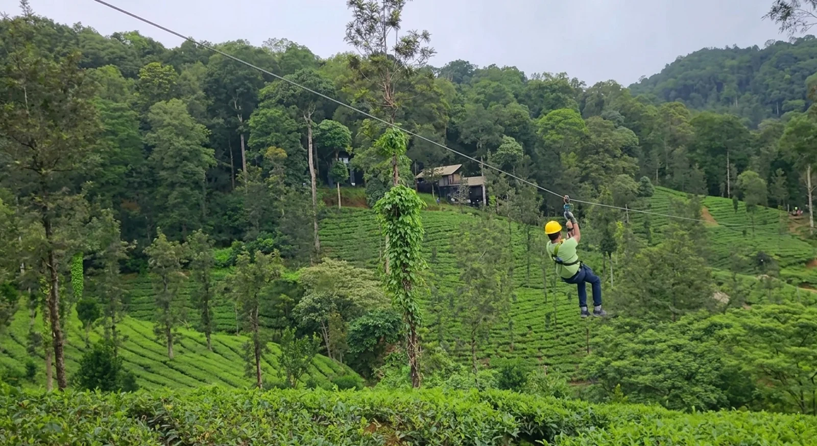 Zip Line – Soar Above the Wilderness
