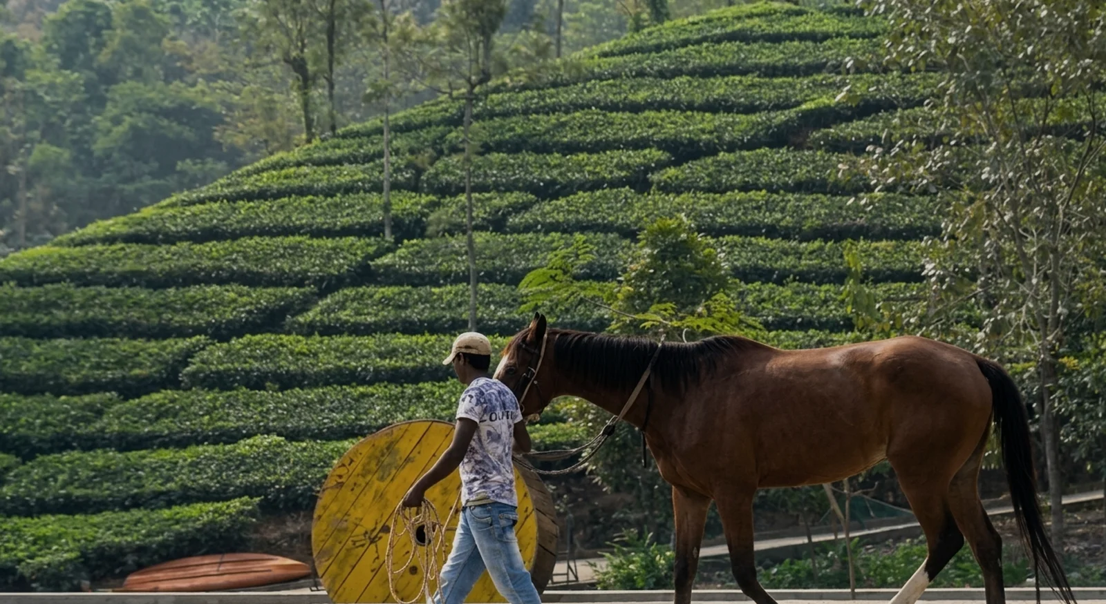Horse Riding – Grace in Motion
