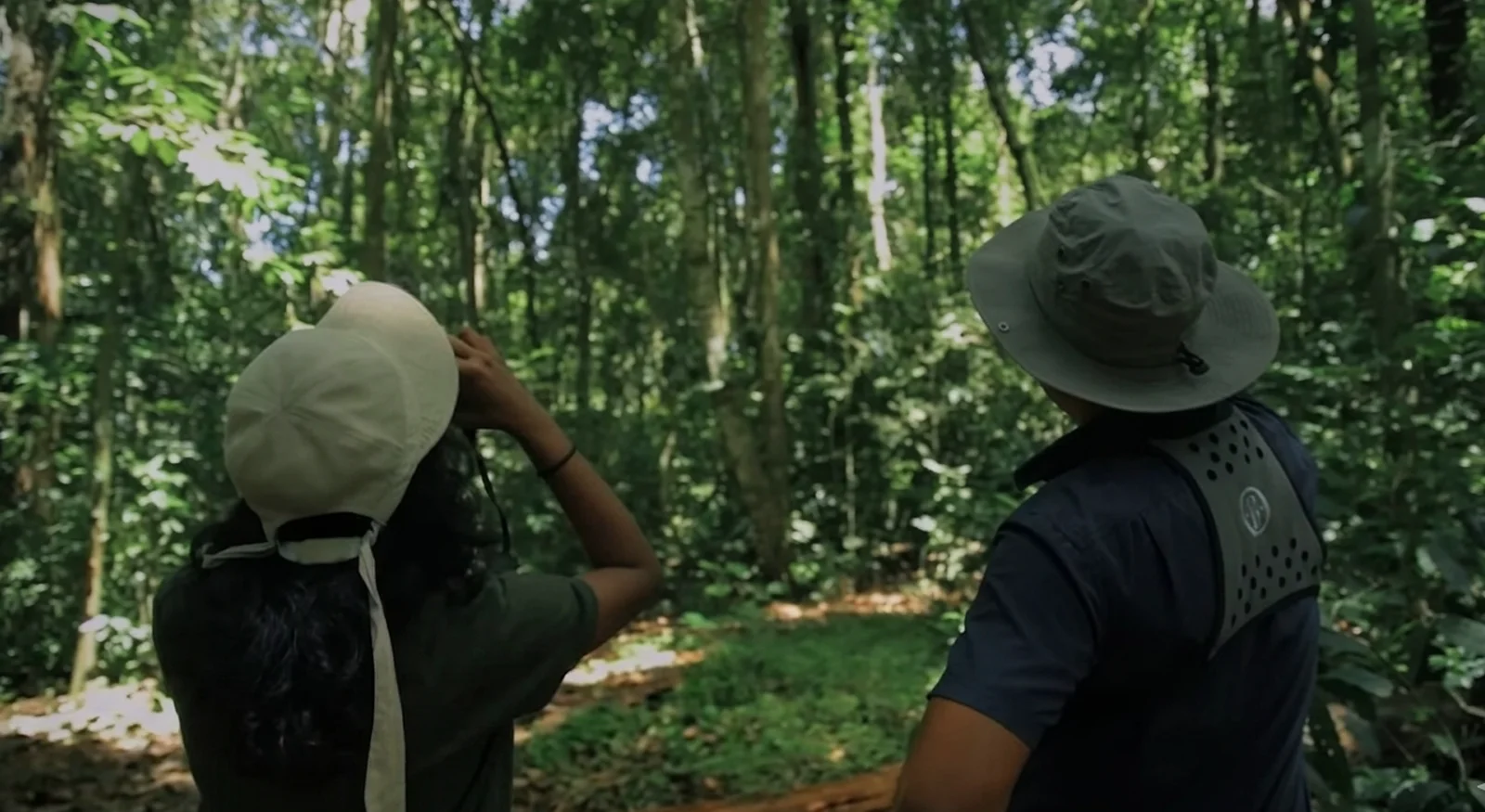 Bird Watching – A Symphony of the Wild
