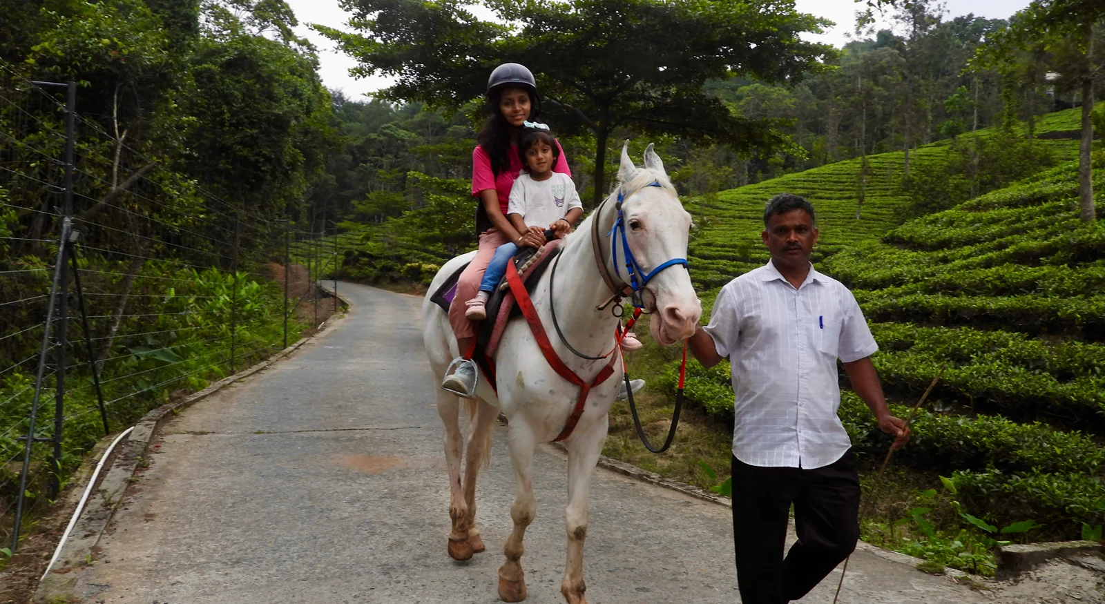 Horse Riding – Grace in Motion