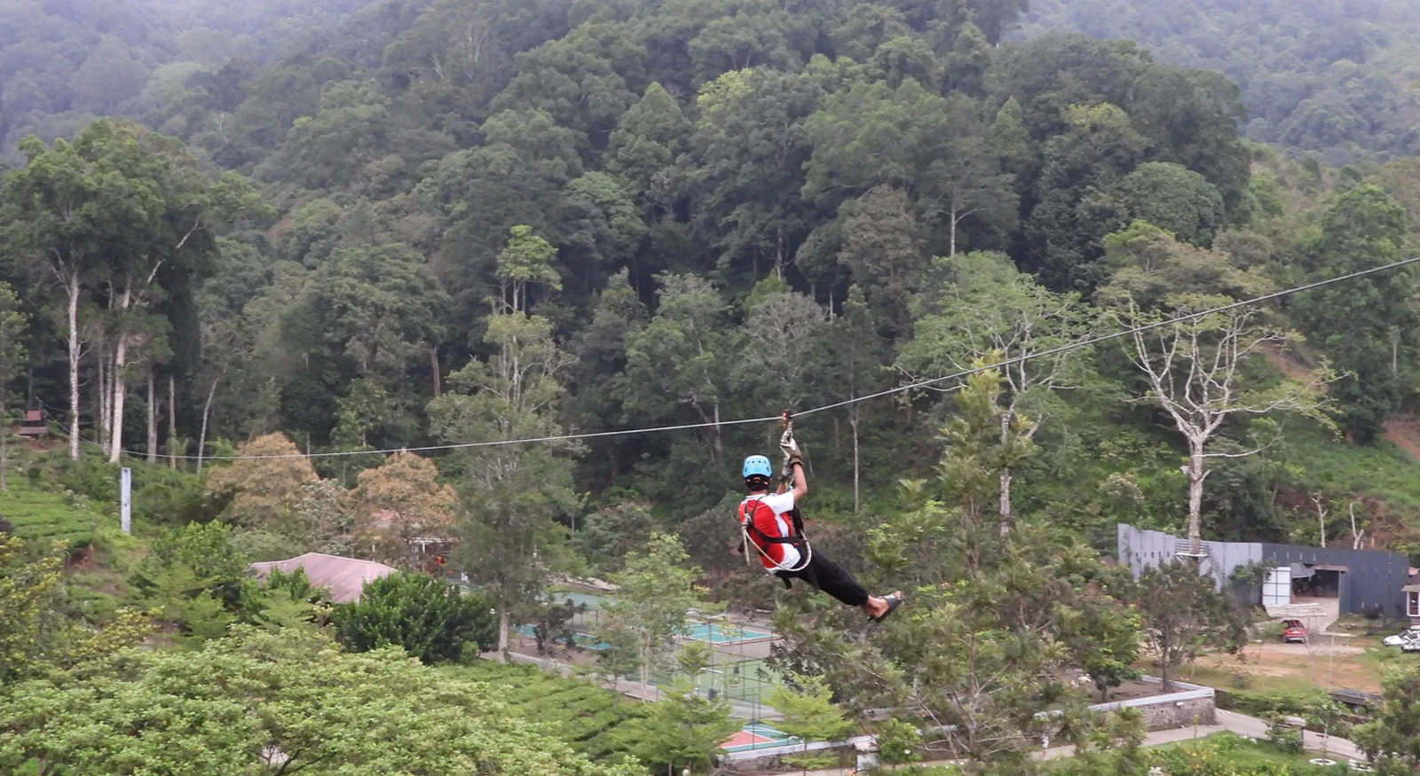 Zip Line – Soar Above the Wilderness