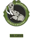 Footer Logo