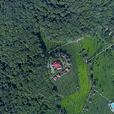 Day 6 – Farewell to the Wild