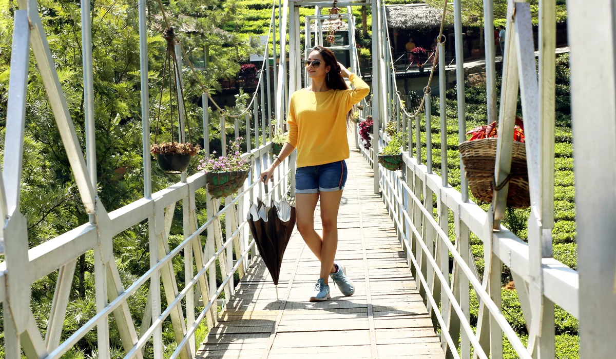 A glimpse of the luxury jungle experience at Wild Planet Resort in the Nilgiris