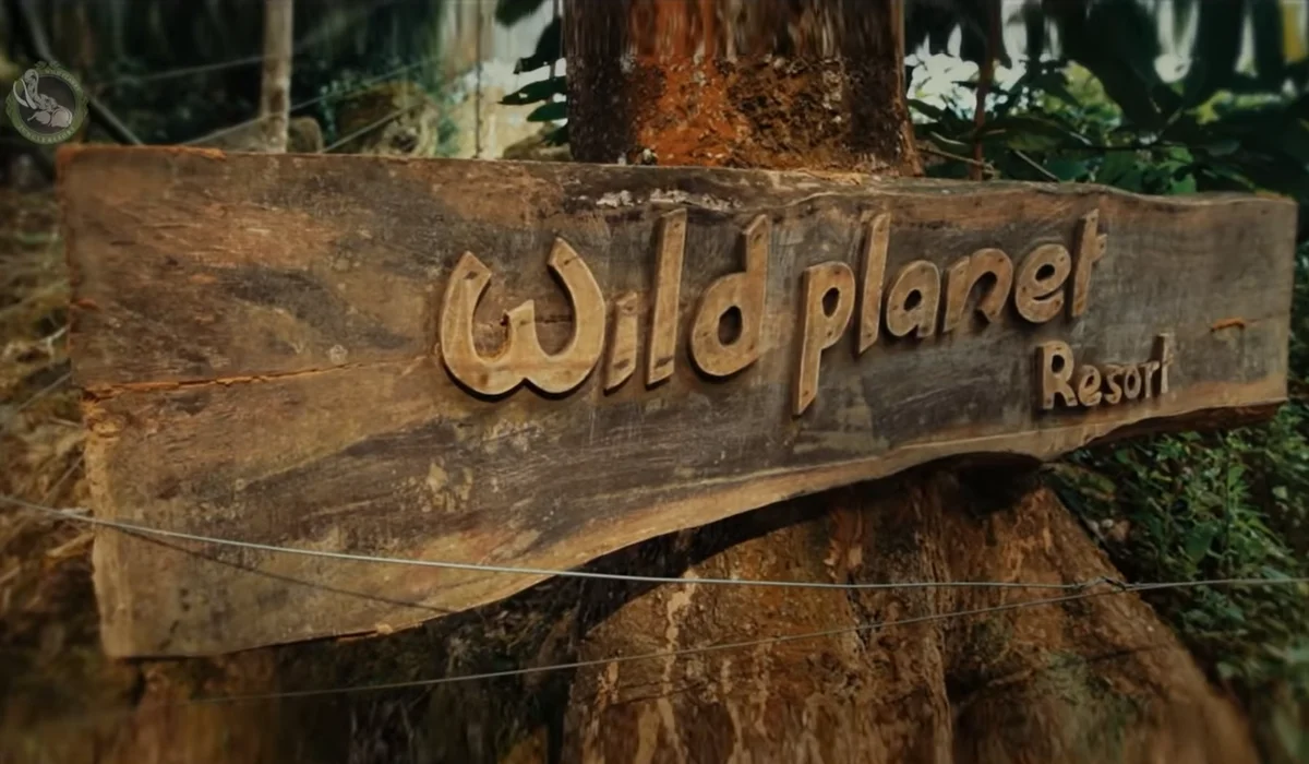 A glimpse of the luxury jungle experience at Wild Planet Resort in the Nilgiris