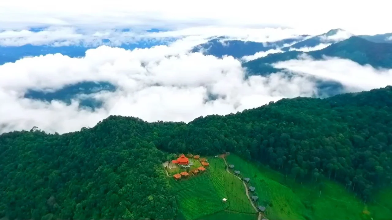 Wild Planet - Luxury Jungle Resort