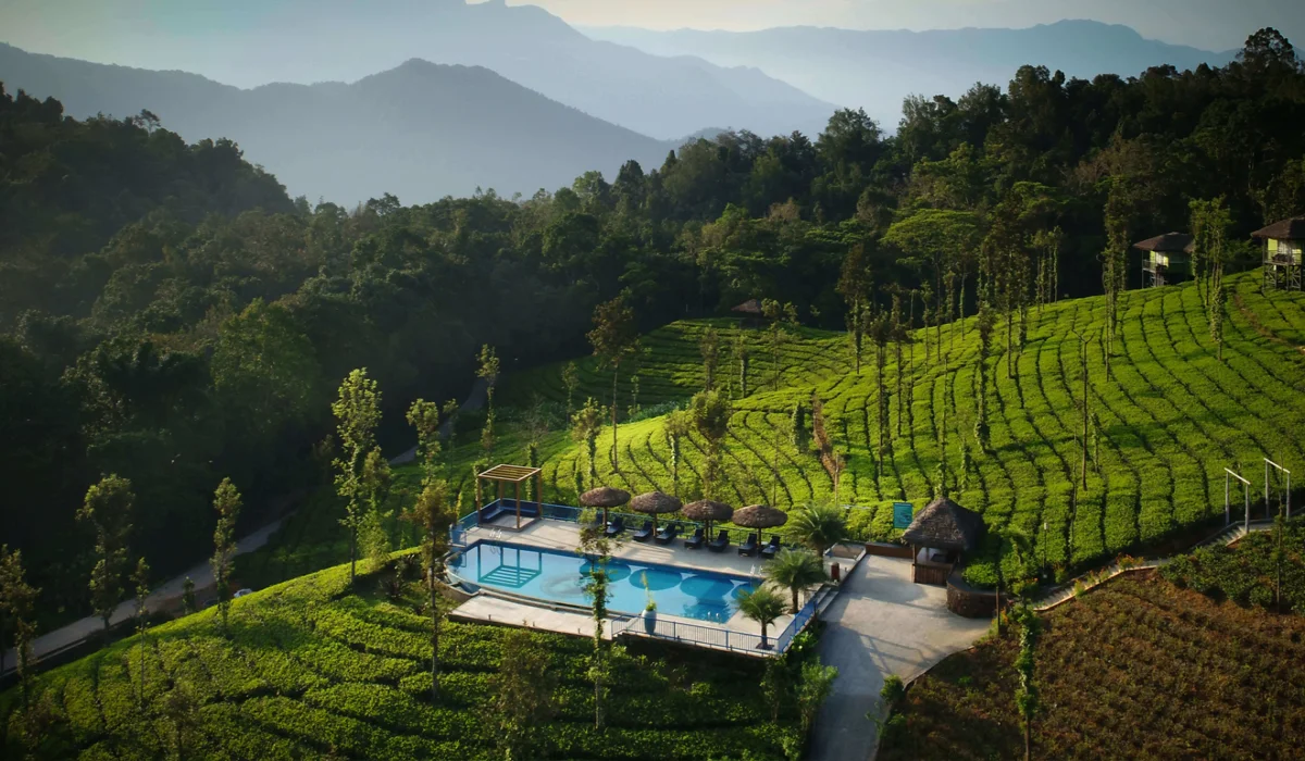 Top Reasons Wild Planet Resort Is the Perfect Jungle Retreat Near Bandipur & Mudumalai