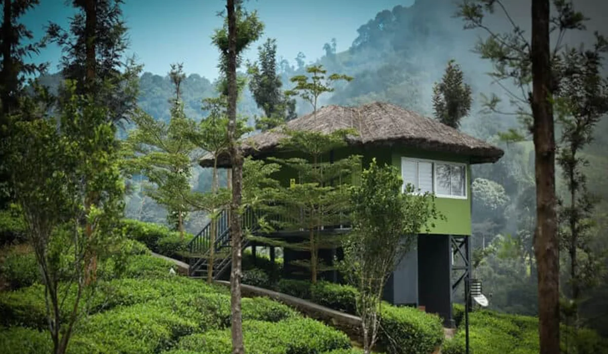 Wild Planet Resort: One of the Best Resorts in Kerala for Luxury & Nature Escape